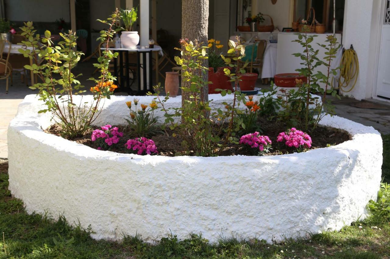 Betahomes- summer Fourka Extérieur photo
